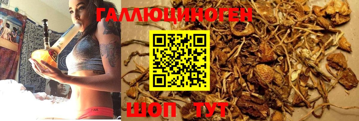 Псилоцибиновые грибы Psilocybe  Вход с VPN  Дубна  хочу наркоту  Псилоцибиновые грибы ЛСД 