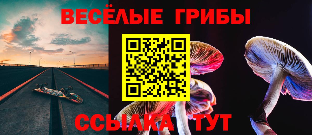 Псилоцибиновые грибы мицелий Дубна